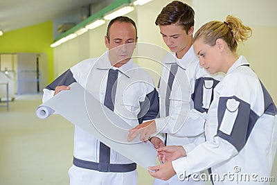 Team painters studying plan Stock Photo