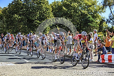 Team Sunweb in the Peloton _ Le Tour de France 2020 Editorial Stock Photo