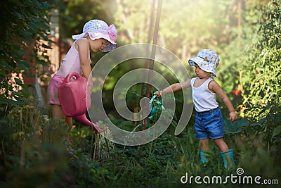 A team of two little gardeners watering strawberry Stock Photo