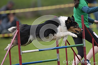 Team work Editorial Stock Photo