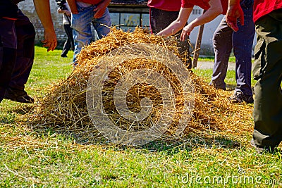 Butchers cover the pig with straw to burn hair from pork`s skin Stock Photo