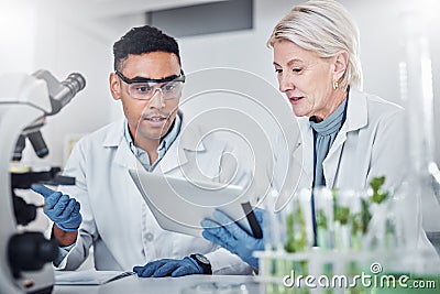 Teamwork, plant science and doctors with tablet for research. Collaboration, sustainability and scientists, man and old Stock Photo
