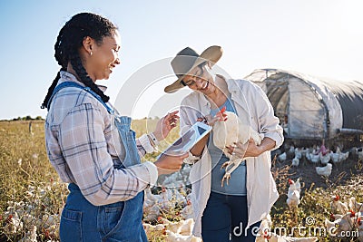 Teamwork, tablet or people farming chicken on field or agriculture for natural sustainability research. Technology Stock Photo