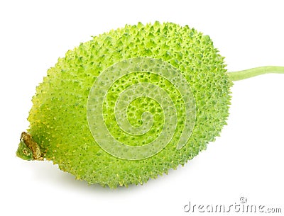 Teasel gourds Stock Photo