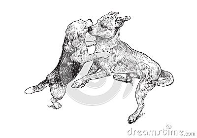 Teasing play of two dogs Vector Illustration