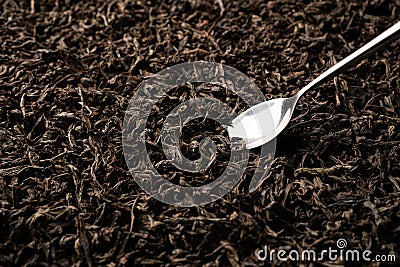 A teaspoon scooping up black loose-leaf tea and being examined in detail. Close up, angled view. Stock Photo