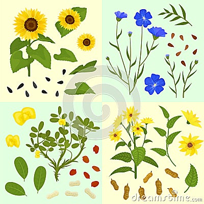 Technical Flowers Seed Compositions Cartoon Illustration