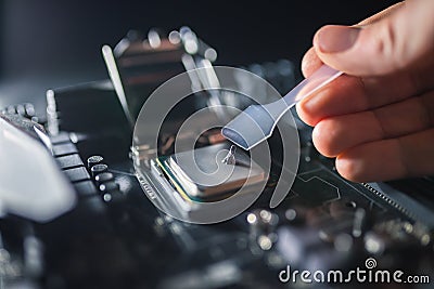 Technical support worker greases with thermal grease paste computer processor. Thermal compound on on PC CPU. Cooling Stock Photo