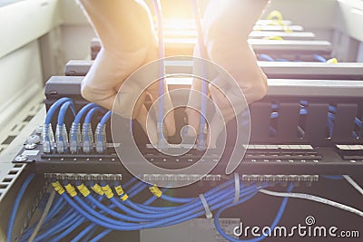 Technician connecting network cable to switch Information Technology Computer Network, Telecommunication Ethernet Cables Stock Photo