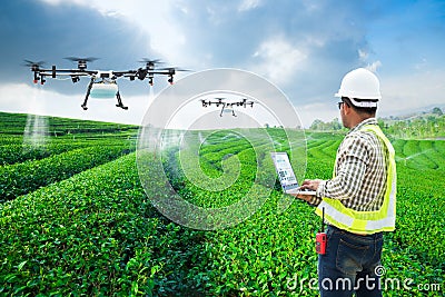 .Technician farmer use wifi computer control agriculture drone fly to sprayed fertilizer on the green tea fields, Smart farm 4.0 Stock Photo