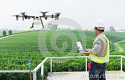 .Technician farmer use wifi computer control agriculture drone fly to sprayed fertilizer on the tea fields Stock Photo