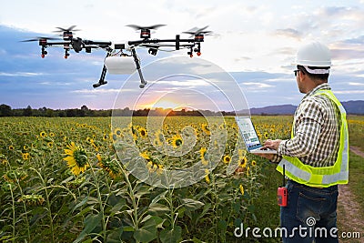 .Technician farmer use wifi computer control agriculture drone on the sunflower field, Smart farm concept Stock Photo