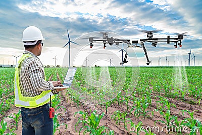 Technician farmer use wifi computer control agriculture drone Stock Photo