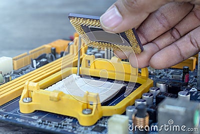 Technician hand holding the CPU or Central Processing Unit chip microprocessor fixing and upgrade computer pc to repair inside The Stock Photo