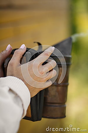 Technology of fumigation of bees. Intoxicating smoke for safe honey production. Beekeeper hold in hand bee smoker. Beekeeping tool Stock Photo