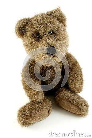 Teddy Bear Stock Photo