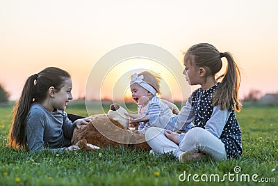 Teddy bear Stock Photo