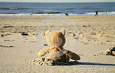 Teddy bear on the beach Stock Photo