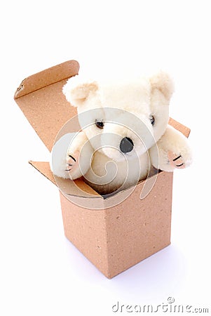 Teddy Bear In Box Royalty Free Stock Photography - Image: 8376247