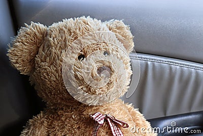 Teddy Bear Brown close up Lonely Feel In My Car Stock Photo