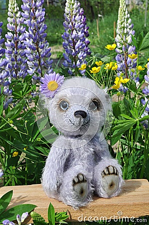 Teddy-bear Chupa on a little board among flowers Stock Photo