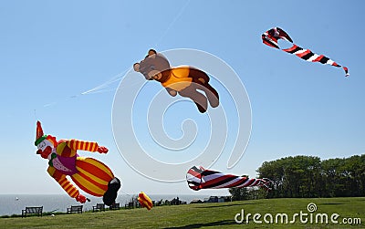 Teddy Bear and Clown Kites airborne blue sky grass and the sea in background Editorial Stock Photo