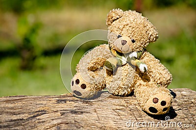 Teddy bear in the garden Stock Photo