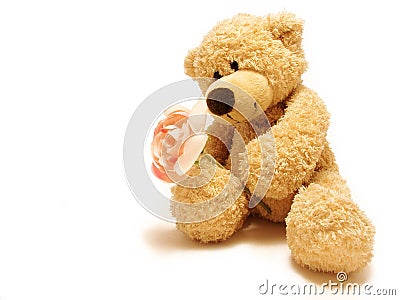 Teddy-bear giving rose Stock Photo