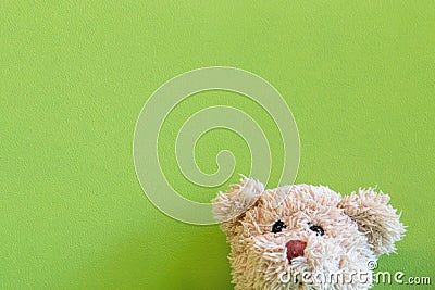 Teddy bear on green fabric background, Take a photo with a smile happy feel. Stock Photo