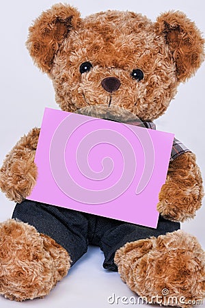 Teddy bear holding a blank pink sign isolated on white background Stock Photo