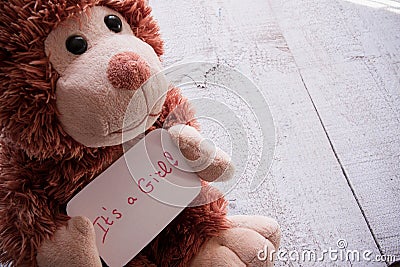 Teddy bear holds an announncement card for baby girl, space for text Stock Photo