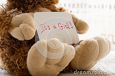 Teddy bear holds an announncement card for baby girl, space for text Stock Photo