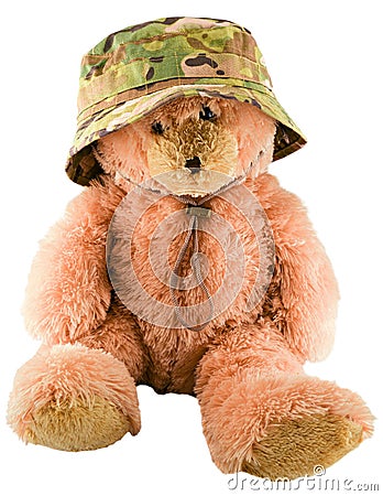 Teddy bear in a military hat Stock Photo