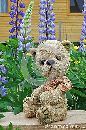 Teddy-bear Misha on a little board Stock Photo