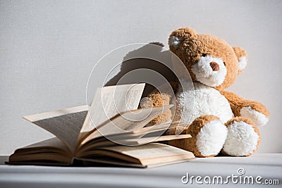 Teddy bear and opened book on grey Stock Photo