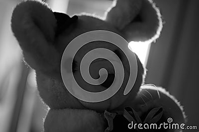 A cute teddy bear picture in white and black Stock Photo