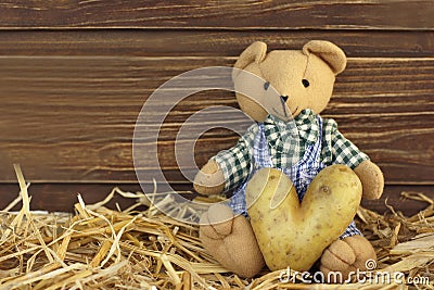 Teddy bear with potato heart Stock Photo