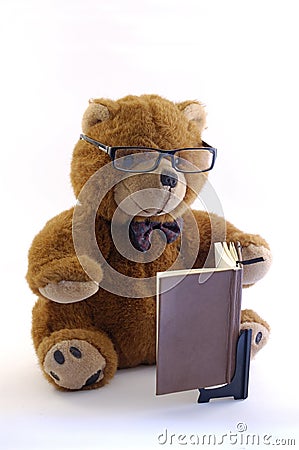 Teddy bear reading Stock Photo