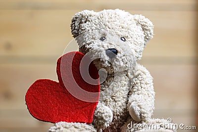 Teddy Bear with red heart Stock Photo