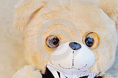 Teddy Bear with Rings Stock Photo