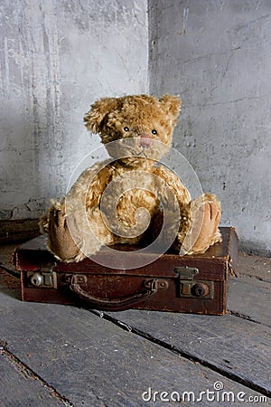 Teddy bear on suitcase Stock Photo
