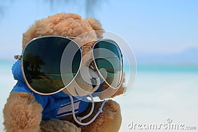 Teddy bear on sunny day against the background of the sea. Toy in glasses with reflection of palm trees and beach. Dead Sea Israel Stock Photo