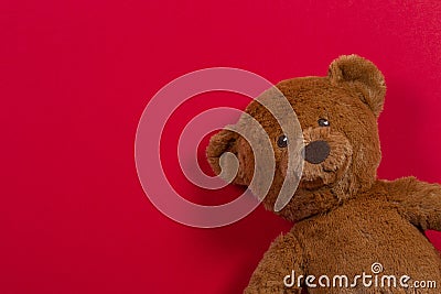 Teddy bear toy on red background Stock Photo