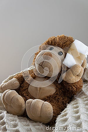 Teddy Bear toy wounded in the head. Accident, healthcare Stock Photo