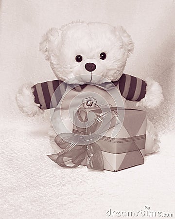 Teddy Bear with tulip - Valentines Day Stock Photos Stock Photo