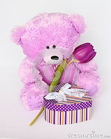 Teddy Bear with tulip - Valentines Day Stock Photos Stock Photo