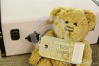 Teddy Bear with vintage suitcase and bon voyage luggage tag Stock Photo