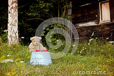 Teddy bear waiting with tea for two Stock Photo