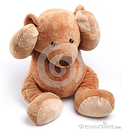 Teddy bear in a worry Stock Photo