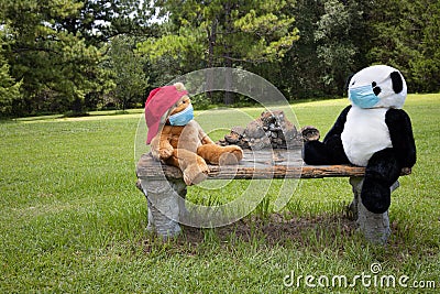 Teddy bears on a bench socially distancing with masks on Stock Photo